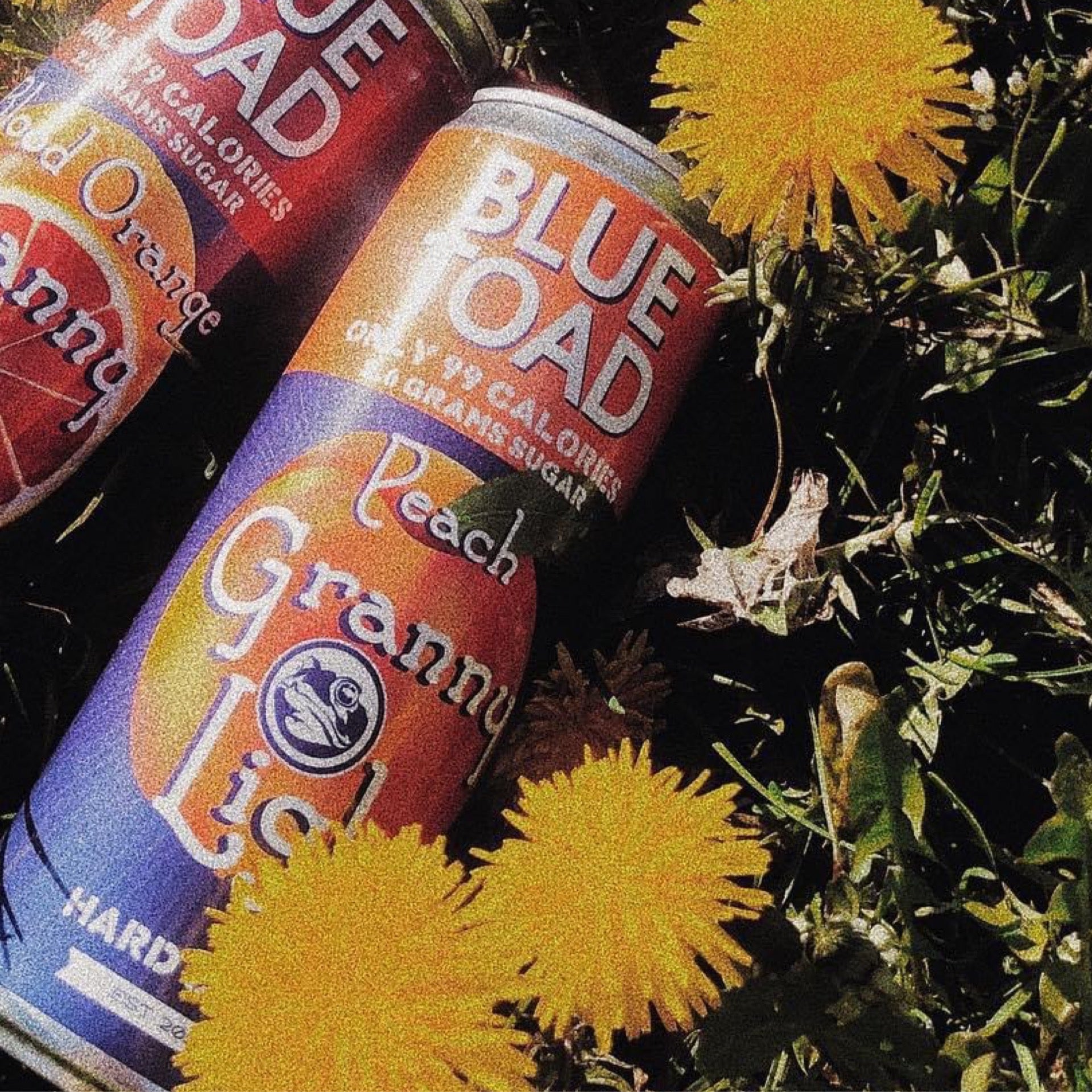 Blue Toad NY Store | Blue Toad Hard Cider